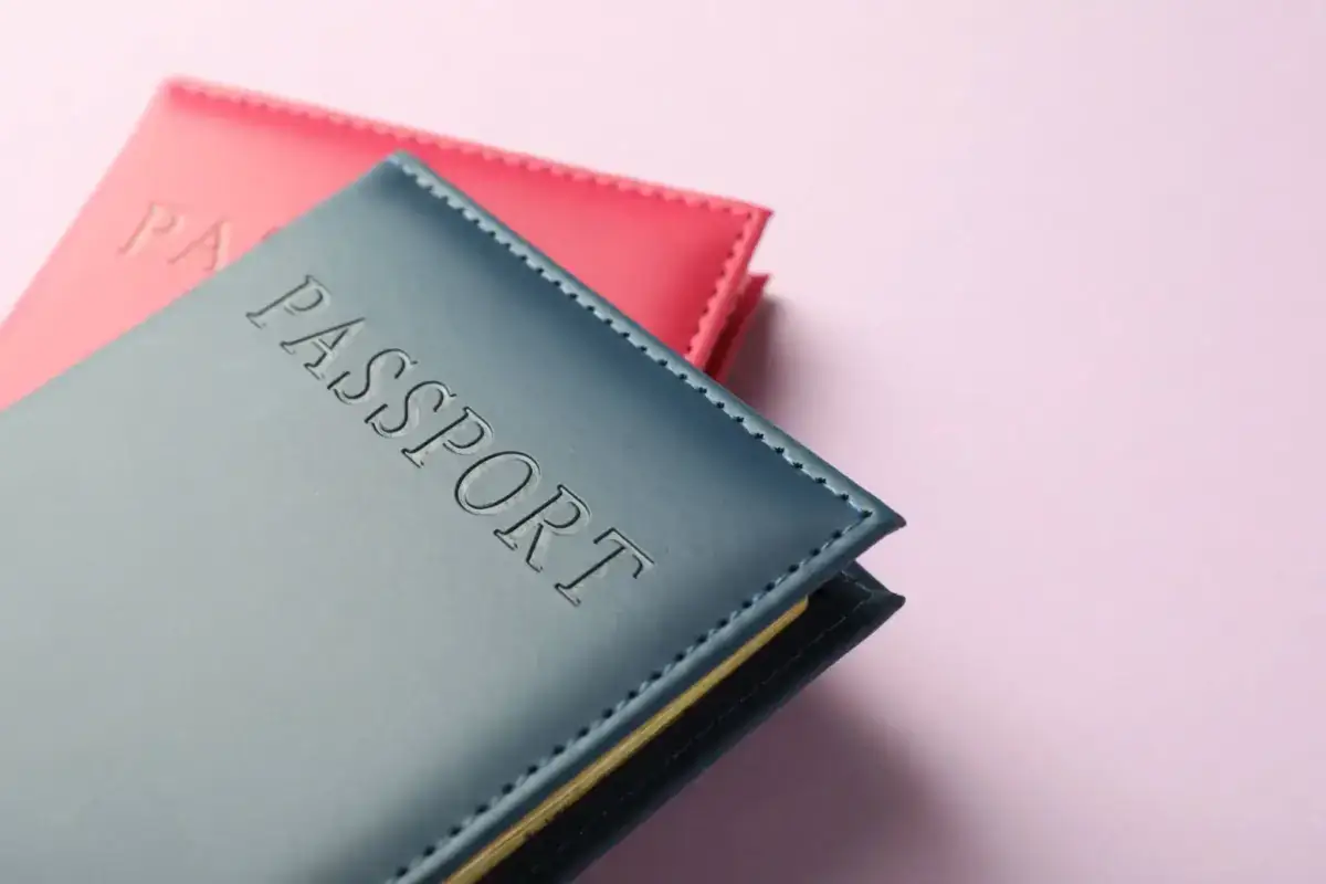 Blue and pink leather passport holders with debossed text